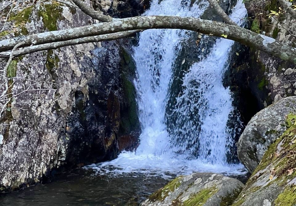 IMAGE 2025-10-09 123213.jpg